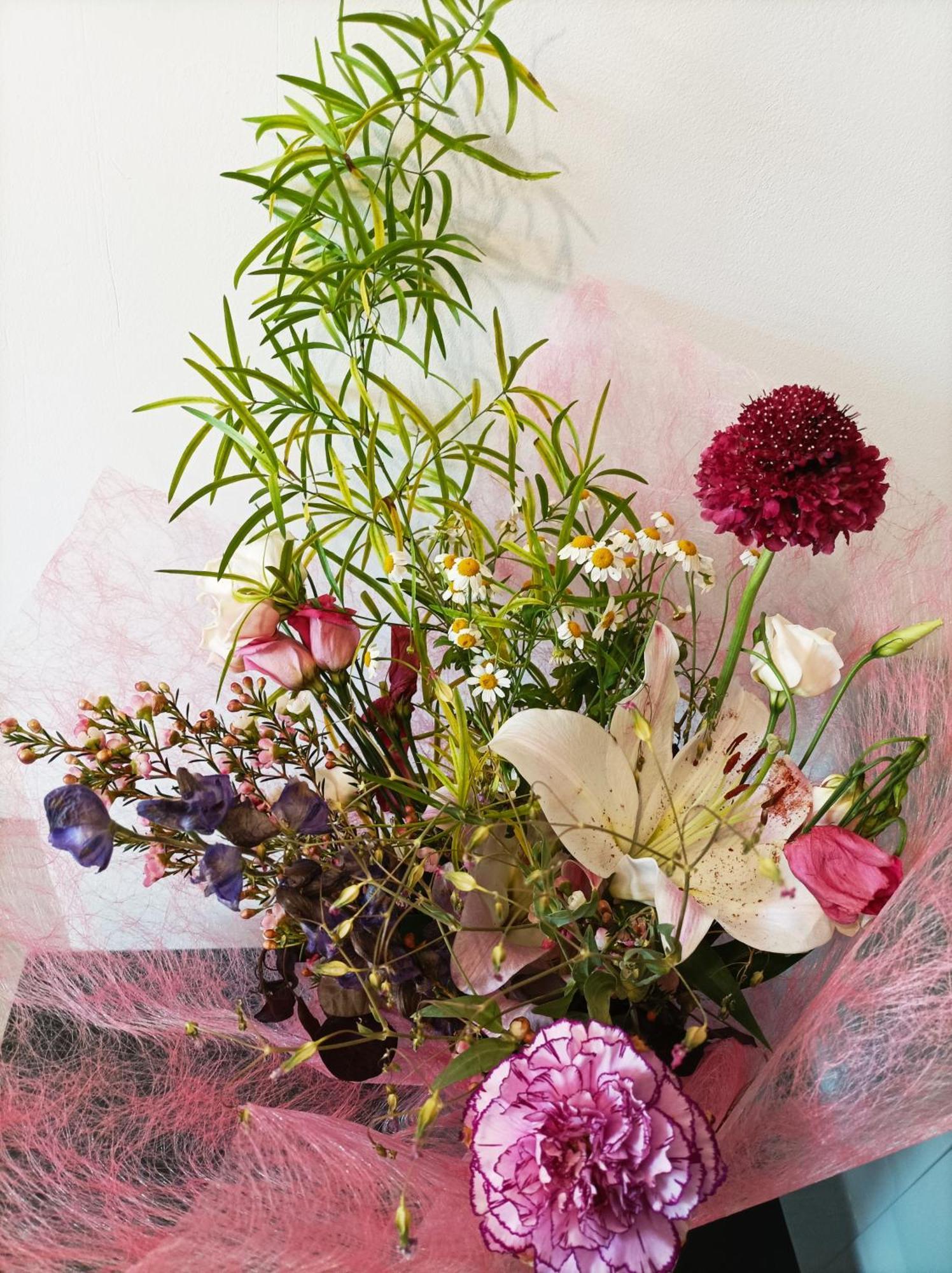 דירות לה גאסיאי Panoramique Floral Centre Festival Photo מראה חיצוני תמונה
